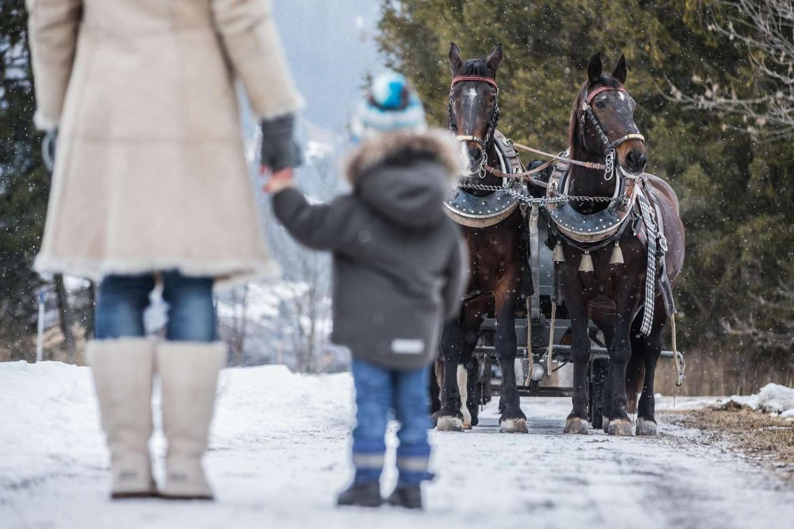 Alpenchalets Biberwier Zugspitze By Alps Resorts エクステリア 写真